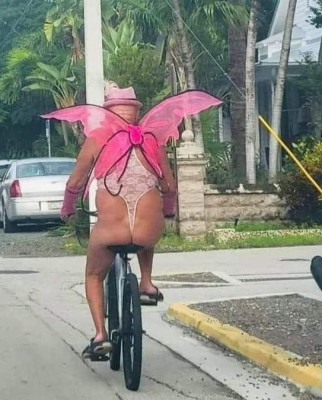 Una libélula con sobrecarga.jpg