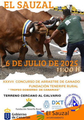 Arrastre canario El Sauzal.jpg