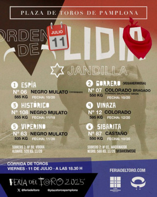 Viernes 11 en Pamplona.jpg