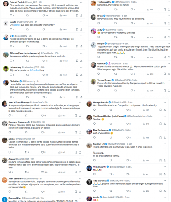 Comentarios Dylan Grant, 24, de Laramie, Wyoming.png