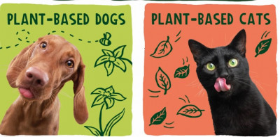 gatos veganos perros veganos.jpg