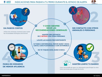 coronavirus mascota consejos.jpg
