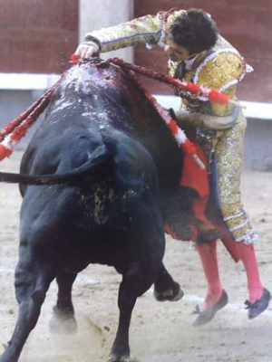 José Tomás en Las Ventas todo de Victoriano del Río.png