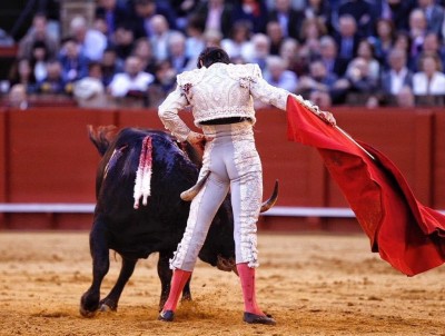 quien es el torero.jpg