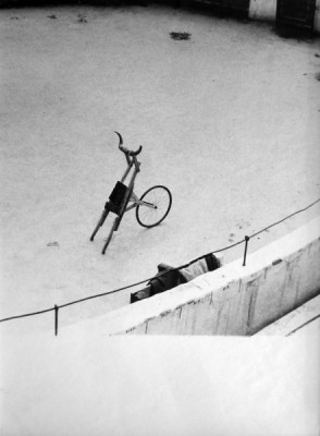 Carro de pitones, Leopoldo Pomés.jpeg