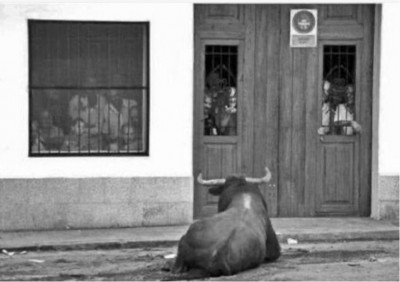 Dónde está tomada esta foto.jpg