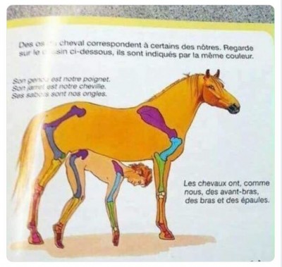 Texto comparar igualar personas animales.JPG