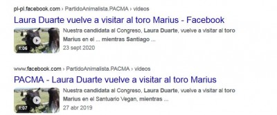 Laura duarte partido pacma toro marius.JPG
