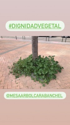 dignidad vegetal.jpg