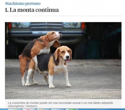 Machismo perruno.JPG