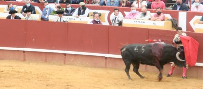 Lopez Chaves inicia faena con su primero.JPG