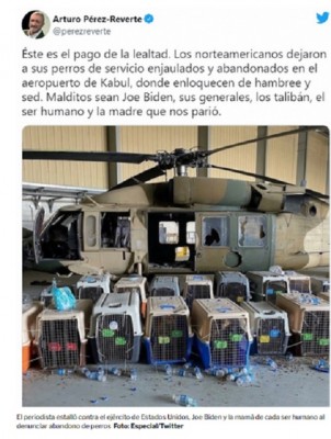 Perez Reverte Perros Afganistán.jpg