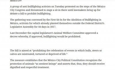 antitaurinos menos de 10 manifestación 2.jpg