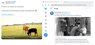 Mujeres animales derechos tuiter.jpg