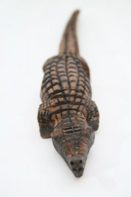 cocodrilo valladolid.jpg