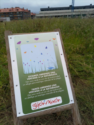 Gijón alcaldesa ventana naturaleza.jpg