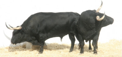 Fuente Ymbro El Batán octubre 2022.jpg