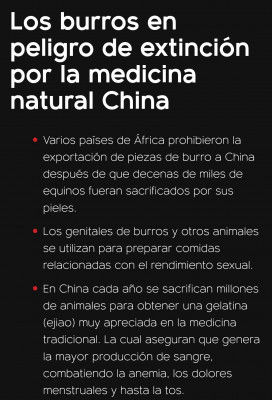 Medicina natural y burros.jpg