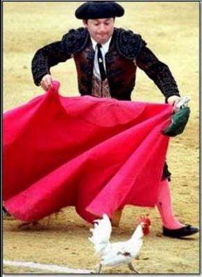 toreo gallina torear rec.jpg
