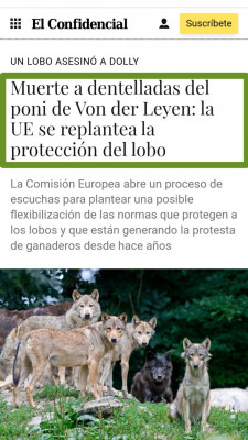 Lobo ovejas y pony von der leien.jpeg