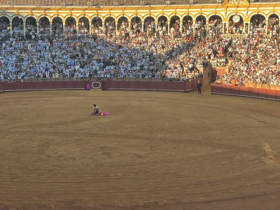 El Juli panorámica la maestranza.jpeg