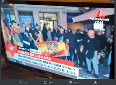 constitucionalistas y la bandera NO.JPG