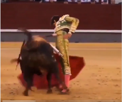 13 May 2016 Roca Rey confirma Pata toro.png