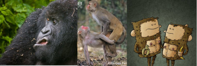 Socialistas explicación.jpeg