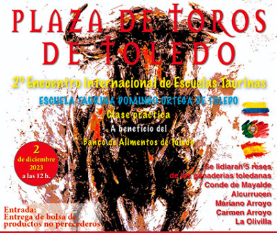 Toledo encuentro internacional escuelas.jpeg