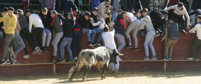 Encierro los toros buscan patas.png