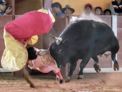 Alberto Ortega cogida Tlaxcala Foro Saimos.jpeg