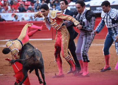 Héctor Gutiérrez.png