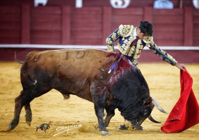 Buenos días 21 ago 2021 Salvador Vega toro Daniel Ruiz Arjona.jpg