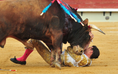 Fernando Adrian Toros de Hnos García Jiménez.jpg