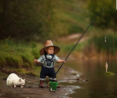 Alimentar al gato.jpg