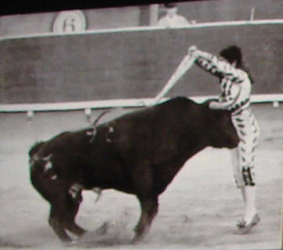 Miguelín banderillas.jpeg