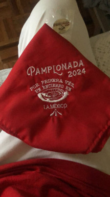 Pamplonada 2024 México.jpeg