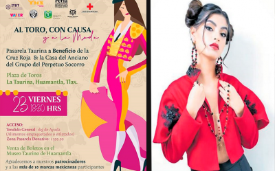 Al toro con causa.png