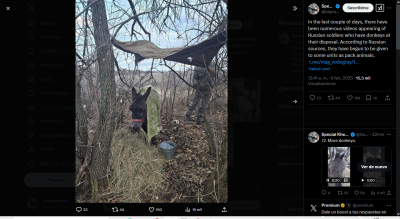 burros en el frente.png