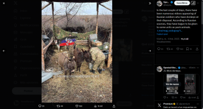 burros en el frente 2.png