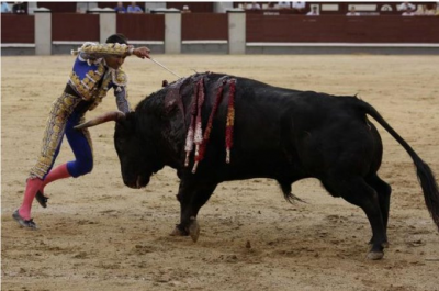 Foto es de Olmo Calvo Joselito Adame el torero.png
