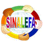 Avatar de Usuario