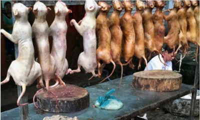 Yulin 2025.jpg