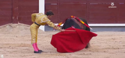 Robleño.jpeg