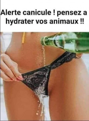 la chatte.jpg