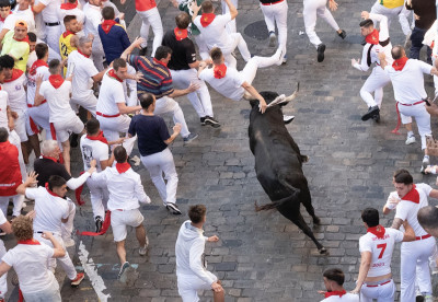 Corneado en el glúteo La Palmosilla.jpg