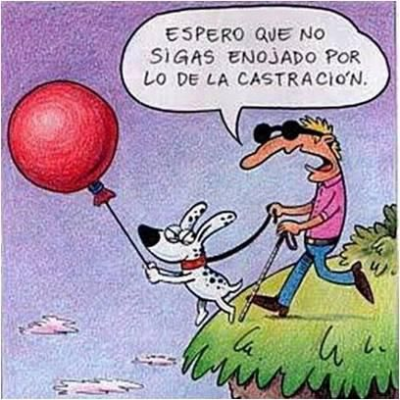 castrar mascotas.png
