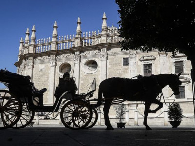 coches de caballos prohibición.jpg