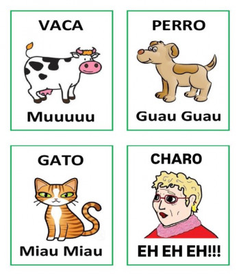 Examen de Charo.jpg