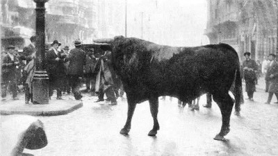 Fortuna y el toro en las calles.jpg